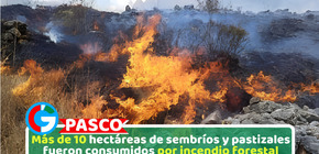 Más de 10 hectáreas de sembríos y pastizales fueron consumidos por incendio forestal