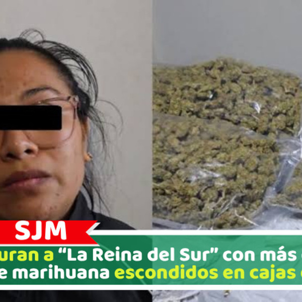 Capturan a “La Reina del Sur” con más de 56 kilos de marihuana escondidos en cajas de café