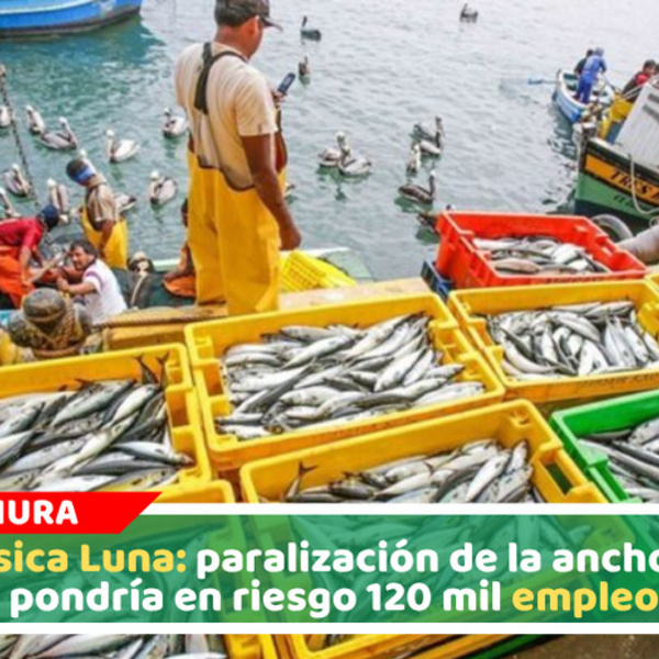 Jessica Luna: paralización de la anchoveta pondría en riesgo 120 mil empleos