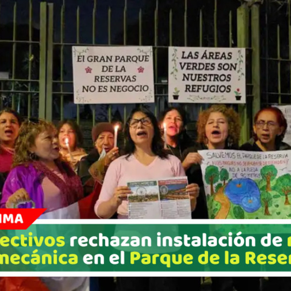 Colectivos rechazan instalación de rueda mecánica en el Parque de la Reserva