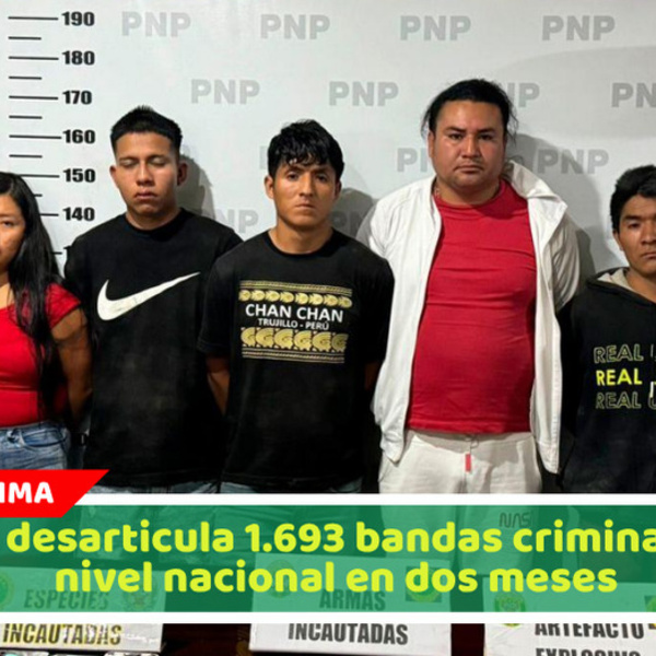 PNP desarticula 1.693 bandas criminales a nivel nacional en dos meses