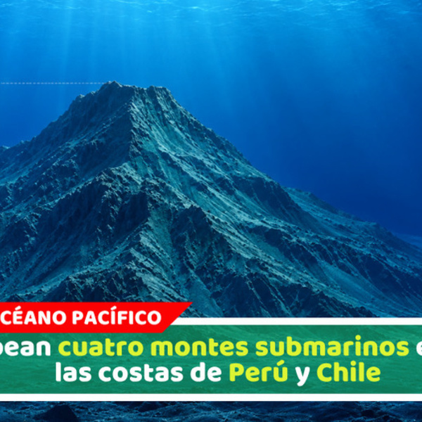 Mapean cuatro montes submarinos entre las costas de Perú y Chile