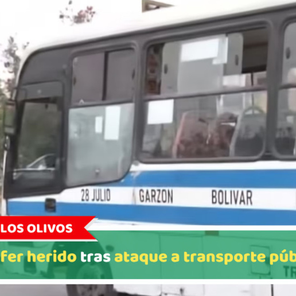 Los Olivos: Chofer herido tras ataque a transporte público
