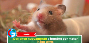 Japón: Detienen nuevamente a hombre por matar hámsteres