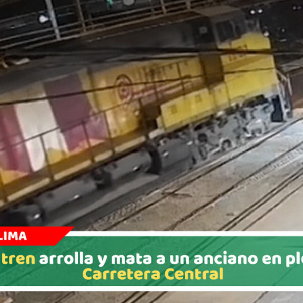 Un tren arrolla y mata a un anciano en plena Carretera Central